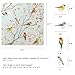 DKTIE Window Privacy Cling Film with Installation Tools, Stained Glass Opaque Non-Adhesive Frosted Bird Coverings Removable for Bathroom Shower Door Frosted (S3533, 17.7in X 78.7in)