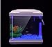 Oubest Fish Tank Rocks Glow Blue/Glow in The Dark Pebbles for Garden/Fish Tank/Aquarium/Plant Pots/Bonsai Walkway/Driveway 100pcs