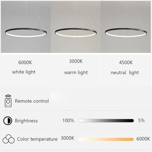 Lampe suspendue ronde LED variable avec télécommande pour salon LWX - 3
