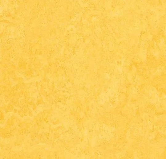 Forbo Marmoleum Click Cinch LOC Seal 333251 Lemon Zest 12" x 12" Linoleum Tile Flooring (6.7 SF/Box)