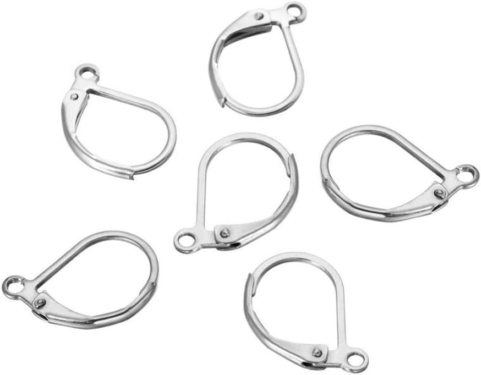 50pcs Adabele 304 Grade Surgical Stainless Steel Hypoallergenic Earring Hooks Leverback Strong Ear Wire 15mm Long Open Ring for DIY Earrings Jewelry Making SJF193