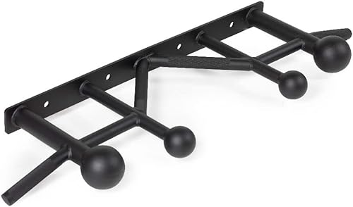 Titan Fitness Barra de dominadas Sphere para estantes T-3, X-3, Titan Series, clasificación de 440 libras, estación de entrenamiento montada en rack
