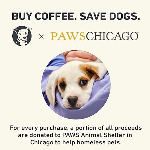 Stella Blue Fresh Ground Coffee - Big Cat Blend - 100% Arabica Medium Roast - Ethically & Sustainably Sourced From Central America - Helps Support Paws Chicago - 12 Ounce Bag #TOP6