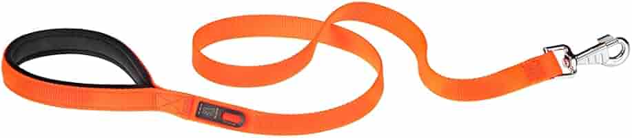 Guinzaglio Per Cani Ferplast Daytona 120cm - Impugnatura Imbottita - Portasacchetti Integrato - Blu - Foto 3