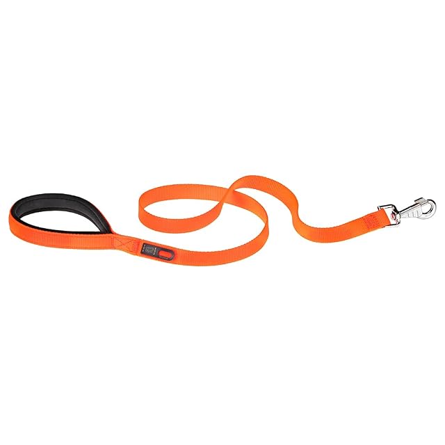 Ferplast Correa para Perros Daytona, Correa Corta para Perros de Tamaño Mediano en Nylon, 120 cm