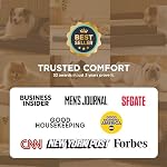 Bedsure Dog Beds Large Sized Dog - Comfy Flat Pet Beds with Removable Washable Cover, Orthopedic Egg Crate Foam Puppy Mat, Suitable for Pet Up to 65 lbs - Image 6