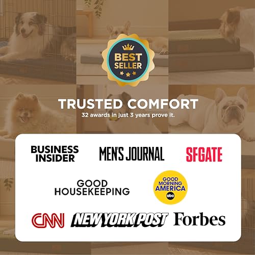 Bedsure Dog Beds Large Sized Dog - Comfy Flat Pet Beds with Removable Washable Cover, Orthopedic Egg Crate Foam Puppy Mat, Suitable for Pet Up to 65 lbs - Image 7