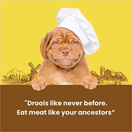 Image of Barkbutler x Dogfest Meat Sticks Lamb+Duck, Dog Treat Combo Pack (45gx2)|Protein packed,Made with Natural Ingredients|0% Artificial Flavours, Colours or Preservatives|Select Grade,For All Adult Breeds