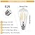 ORALUCE LED Edison Light Bulb 60 Watt Equivalent E26,Vintage Light Bulbs 6W 2700K Warm White 700 Lumen, ST64 / ST21 Antique LED Filament for Ceiling Light Fixture, Non-dimmable, 6 Pack