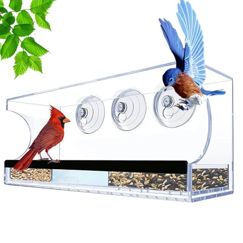 Nidera De Pájaros Con Ventana - Soporte Transparente De 30 Cm, Estación De Alimentos Desmontable, Percha Antideslizante | Primer Plano Observador Balcón Apartamento Acristalamiento Exterior Fauna