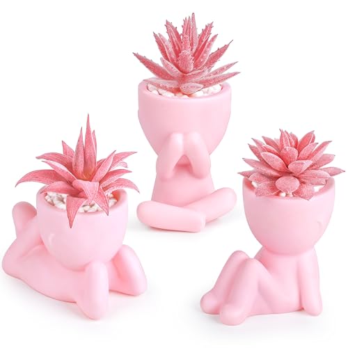 Der Rose 3pcs Fake Succulents Plants Artificial for Black Bathroom Bedroom Home Living Room Halloween Decor Aesthetic Indoor