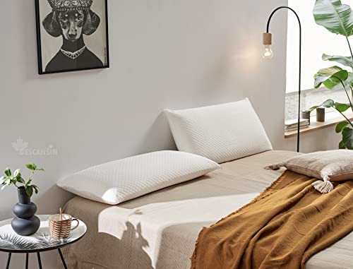 Almohada Viscoelástica - para Cuello y cervicales - Almohada Aloe Vera de Todas Las Medidas (105 cm) Cover