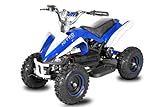  ATV Quad eléctrico, 800 w, para Python para niños con regulador de velocidad para discos, color blanco y azul