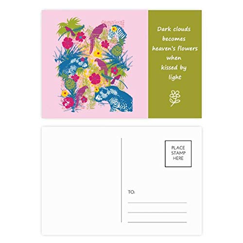Jeu de cartes postales perroquet zèbre de qualité premium multicolore