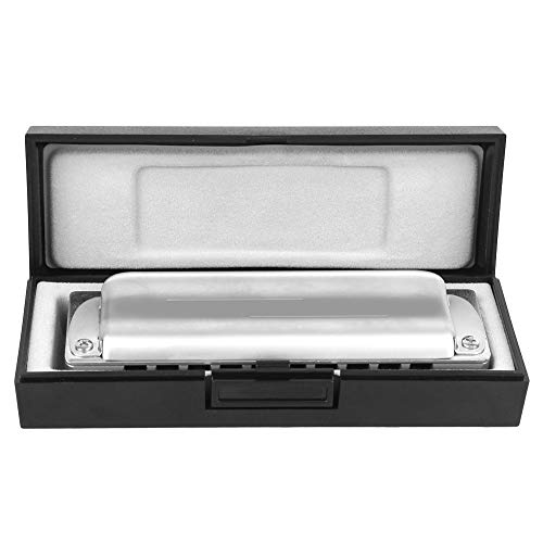 Prachtige blaasinstrumenten 10 gaten mondharmonica voor volwassenen voor studenten - Image 8