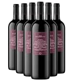 Toscane Libero   Rouge 2021   Fuori Mondo   Vin Rouge d'Italie (6x75cl)
