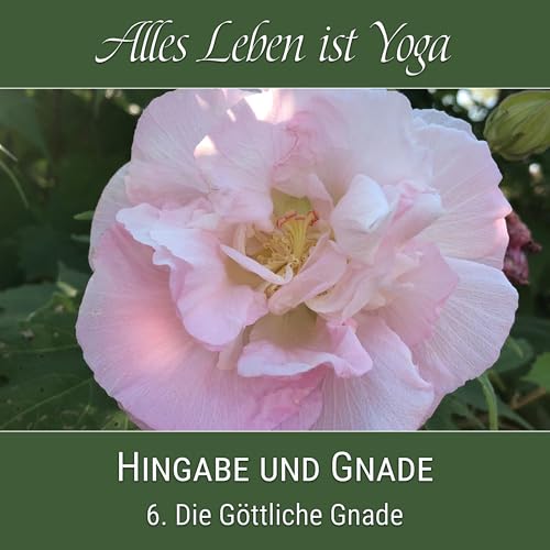 Die G&ouml;ttliche Gnade