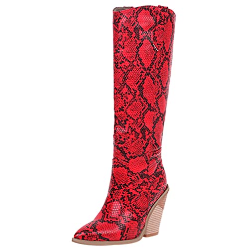 Bottes cowboy compensées femmes Lizoleor bottes hautes bout pointu mode