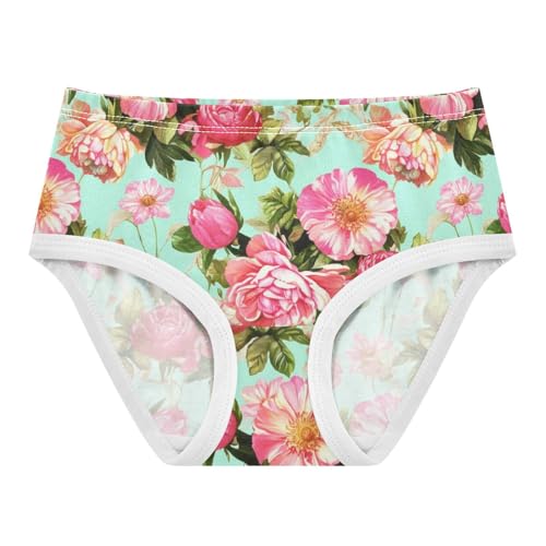Joisal Vintage Pink Flowers Green Girls Underwear Toddlers 2t Cotton Panties for Girl Funny Briefs Kids Undies