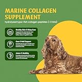 Animal Active Marine Collagen for Dogs, Supports Dry and Itchy Skin, Shiny Coat & Healthy Gums, Premium Micronised Collagen Peptides, Skin Health Dog Supplement, 120 x 500mg Open & Sprinkle Capsules - Image 3
