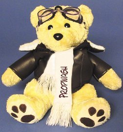 Propwash Teddy Bear by Airzoo