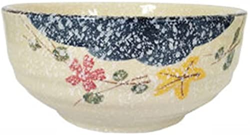 ERoomQ Pasta Bowls Large Soup Ramen Noodles Bowl Creative Hand Painted Fruit Salad Bowls Ceramic Microwave Safe Mixing Serving Bowls,
