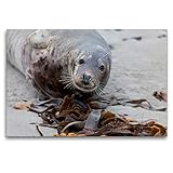 HD Bildqualität: Faksmimilequalität auf Spezial-Leinwand. Der verwendete Bedruckstoff ist eine speziell für uns produzierter, besonders fein gewebter, dimensionsstabile Kunstgewebe-Leinwand. Thermo-Sublimationsdruck überzeugt bezüglich Haltbarkeit, Abriebfestigkeit, Lichtbeständigkeit, Auflösungsvermögen und Farb-Brillanz