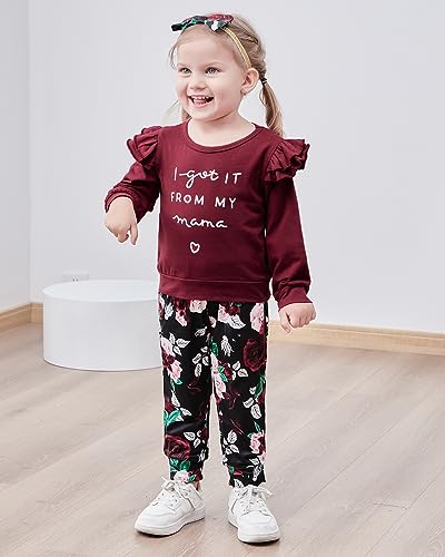 WESIDOM 2T-3T Girl Clothes Toddler Baby Girl Clothes Cute Stuff Winter Outfit Little Baby Girl Clothing Fall