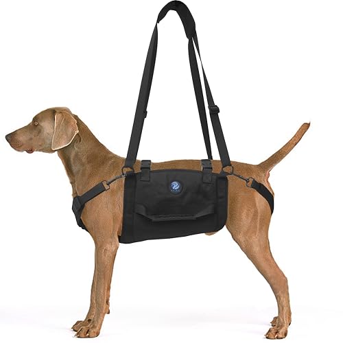 KAJILE Arnés de Elevación de Todo el Cuerpo del Perro,Los Perros Grandes de Apoyo Mochila,Fit Lesiones en Las Articulaciones,Perro Mayor,La Artritis,La Cirugía de Rehabilitación,Negro,L