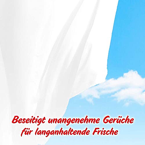 Hoffmanns Gardinenwaschmittel – Fleckenentferner für frischen Duft und strahlendes Weiß – 1 x 660 g