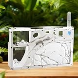 Ant Farm Castle Ant Farm Kit for Kids, Ant Habitat Science...