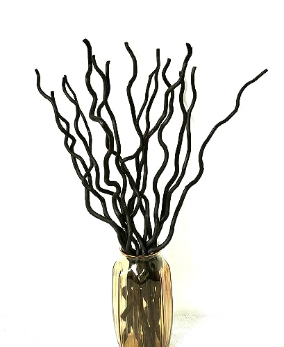 15 Ramas secas de Sauce Rizado, Plantas secas Naturales de 23 Pulgadas, Ramas Decorativas para Manualidades, jarrones, decoración de Bodas en casa, sin 3 Mini Calabazas