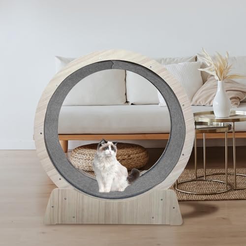 Tapis de remplacement pour roue d'exercice chat moelleux et antidérapant
