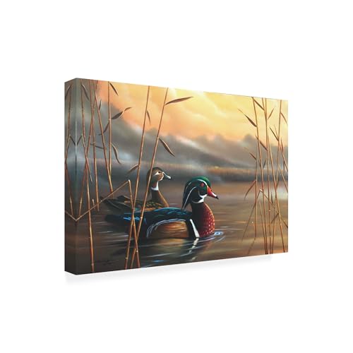 Geno Peoples 'Wood Ducks' Canvas Art