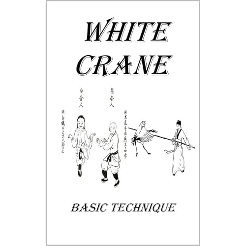 White Crane - secrets of internal power 2 by Vladimir Zlatic episode artwork