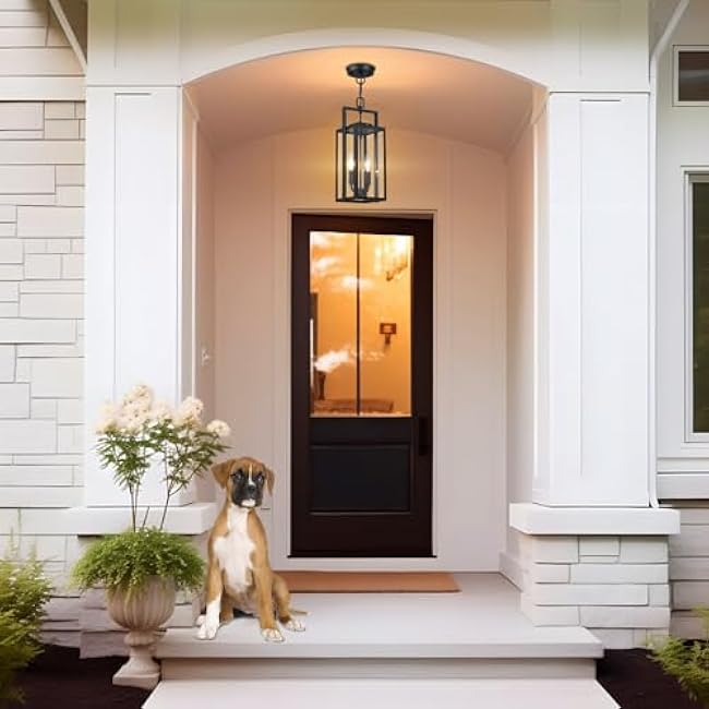 Large Modern Black Pendant Light 2-Light 17.75'' Chandelier Hanging Fixture