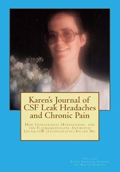 Paperback Karen's Journal of CSF Leak Headaches and Chronic Pain Book