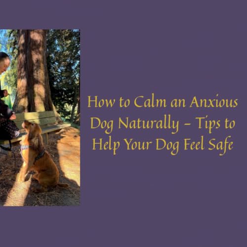How to Calm an Anxious Dog Naturally: Simple Ways to Help Your Dog Feel Safe and Relaxed