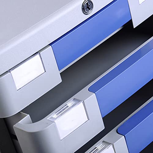 Fpigshs 5 Drawer Drawer Cabinet, Desktop File Cabinet, With Lock And Blank Label, Information Cabinet, File Classification Management And Storage #TOP3