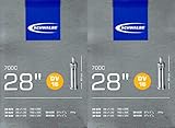Schwalbe