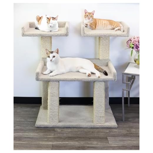 Maine Coon Deluxe Cat Perch Tree
