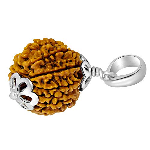 Resistente 13 Mukhi de aleación 55Carat con trece caras 2