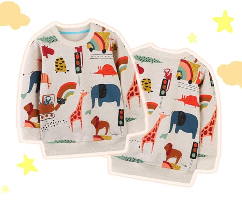 Boys Sweatshirts Casual Sweatshirts Cotton Sweatshirts Long Sleeve T-shirts Crew Neck Cartoon Tops for Boys-309 6