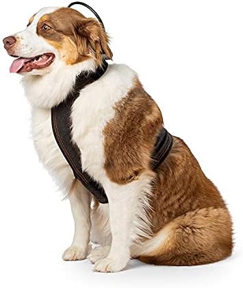 Miniatura 6 de Assisi Loop 2.0 Manual  Tamaño 7.9 in