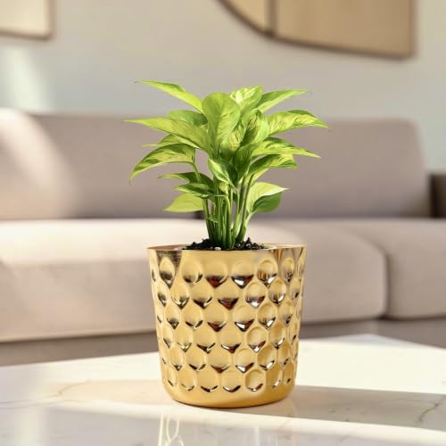 Image of Modern Decorative Gold Planter with Textured Hexagon Pattern Indoor Plant Pot Tabletop Plant Pot for Living Room for Home Decor (5 inch, Gold)