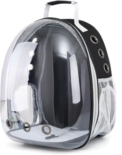 LumoLightybgL[obO LL[ Lp FDJvZ^ bNTbN sybgobO  o UVJbgO΍^ ʋC e ϋv S ܂肽 pbht (A)