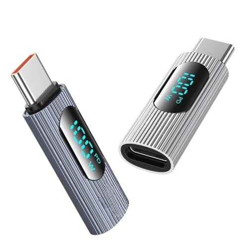 100W USB C �A�_�v�^ �^�C�v C - USB 2.0 tpe-c �f�B�X�v���C �A�_�v�^ OTG �R�l�N�^(Silvery and Gray)