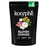 Koryphé