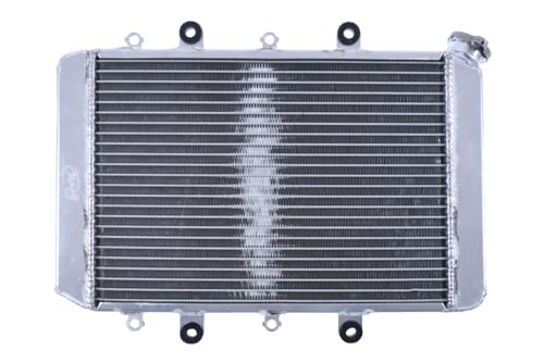 Radiateur d'Eau YAMAHA KODIAK 700 pour Randonnée Intense en Quad