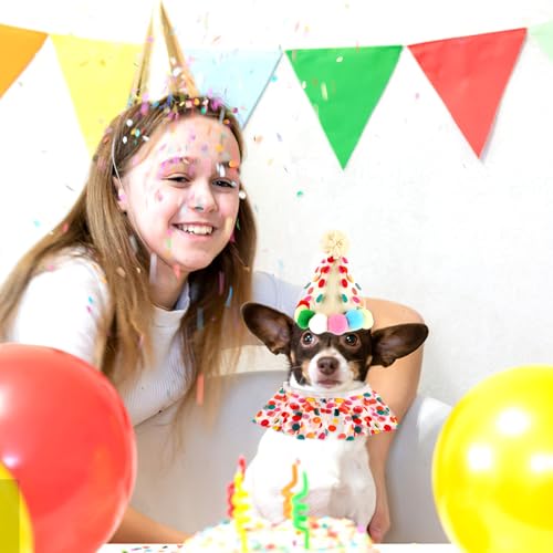 Andibro Roupa de aniversário de gato, fantasias de princesa de cachorro, roupas de vestido de gato,